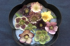 ドライフラワーの画像