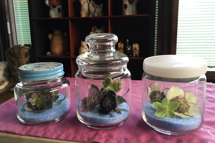 ドライフラワー教室、ページトップの画像